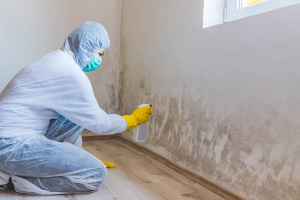 Hvac And Air Duct Mold Remediation inspection of HVAC system in Palm Beach Gardens