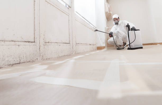 Post-remediation clearance in Palm Beach Gardens